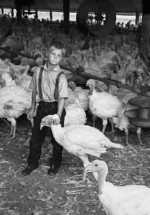 Child with a turkey